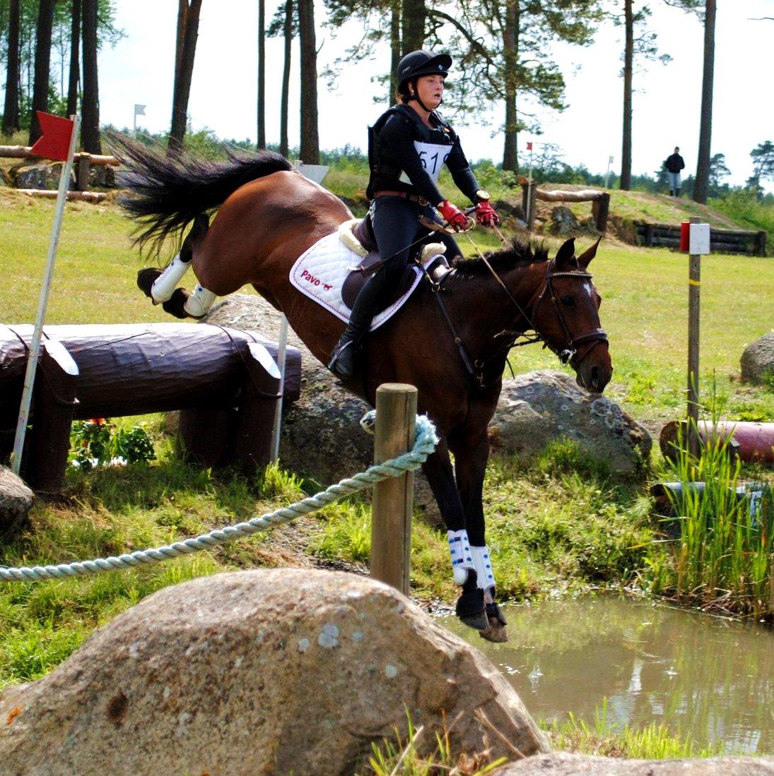 Dansk Varmblod Toftegårdens Carisma - Vinder CNC* billede 7