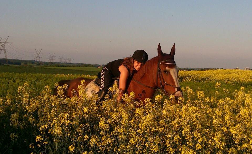 Anden særlig race Isabella (Issa) <3 Solgt :'( billede 25