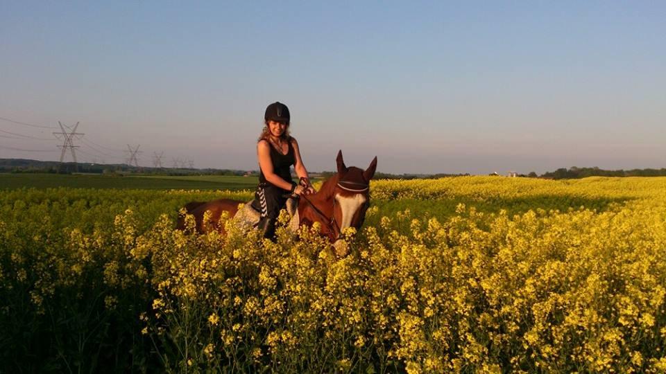 Anden særlig race Isabella (Issa) <3 Solgt :'( billede 18