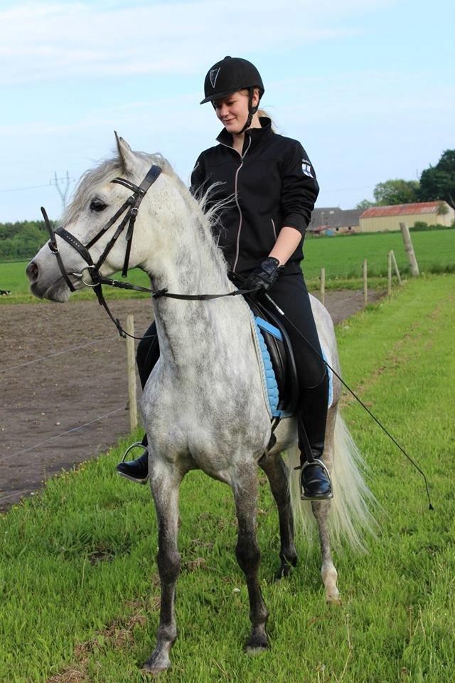 Anden særlig race Sir Grey - Vilddyret på tur
29. maj 2013 billede 15