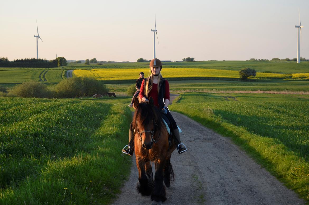 Jyde Hans - 27-05-2013 billede 13