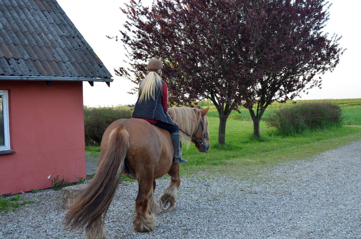 Jyde Mary billede 17