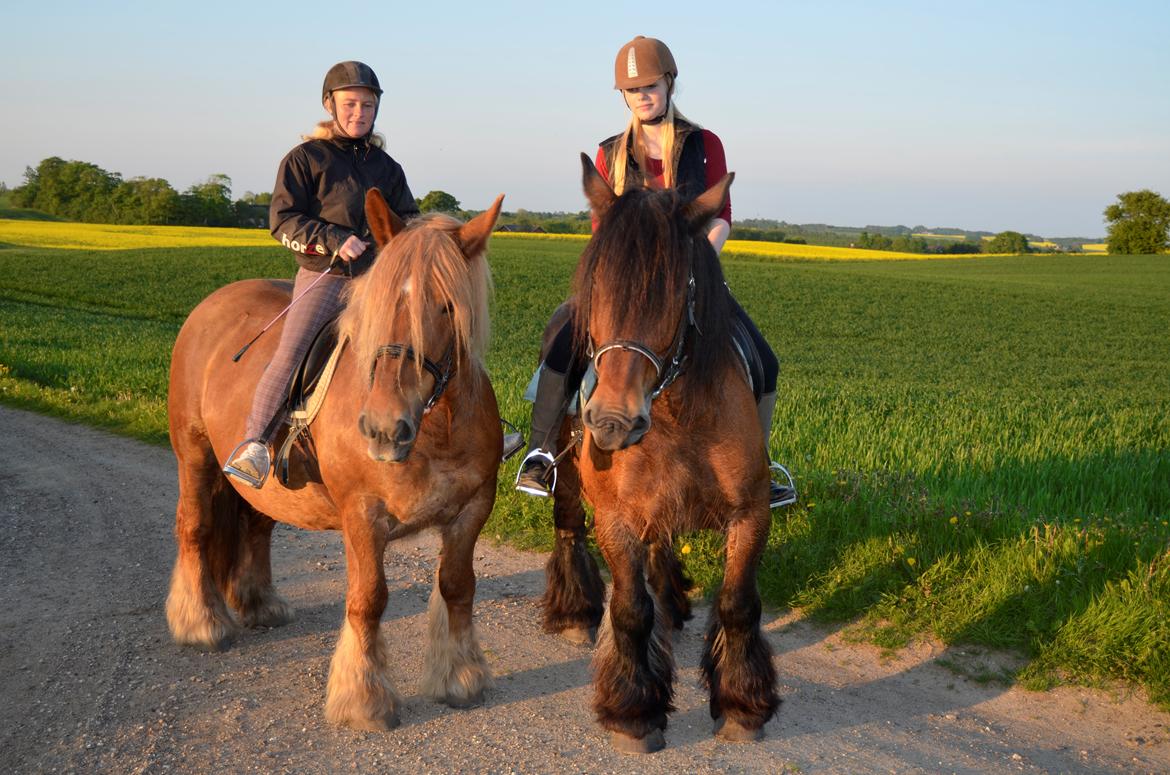 Jyde Mary billede 14