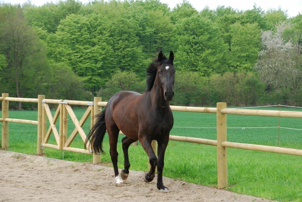 Oldenborg Magant billede 1