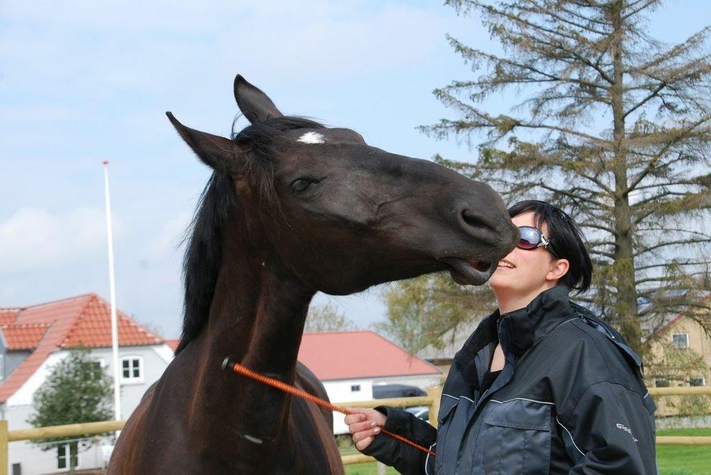 Oldenborg Magant billede 4