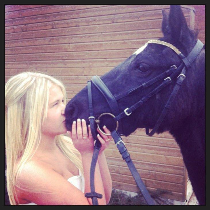 Welsh Pony (sec B) Callunas Keeshia billede 19