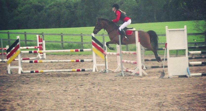 Anden særlig race PRINS KASHMIR  - d. 30/5-2013 Stævne på Dyresten Rideklub LA* billede 6