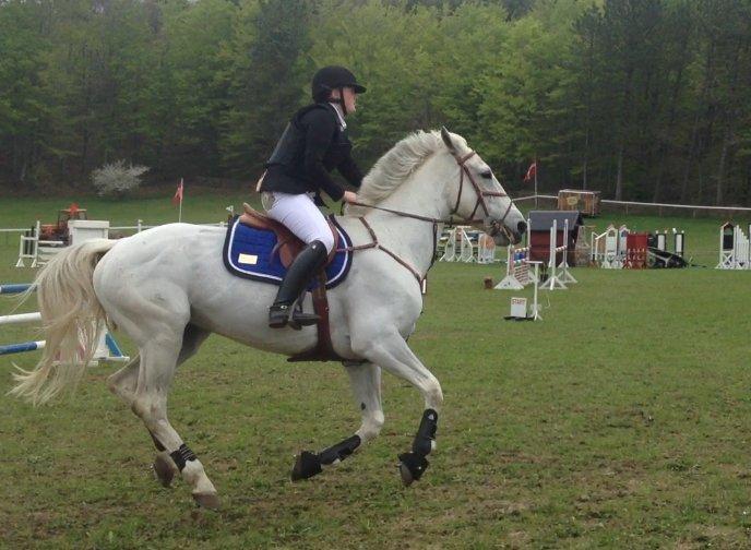 Hollandsk Varmblod TILBURY - Første stævne. Morsø 2013 <3 billede 7