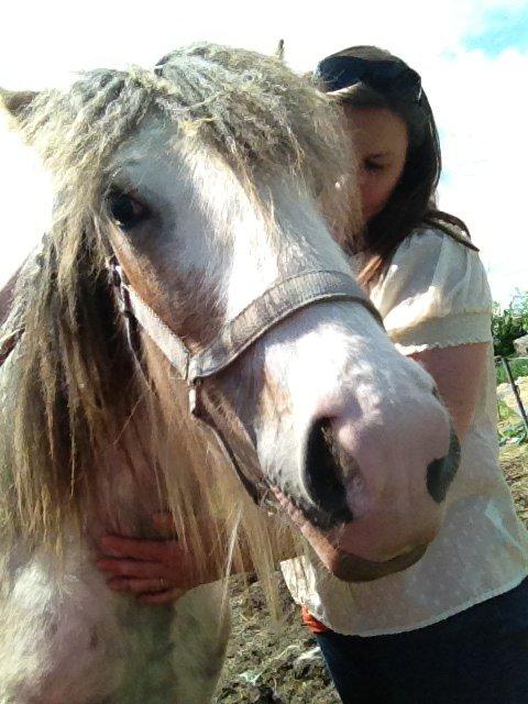 Irish Cob Bella Donna - Jeg krammer smukke Bella <3 billede 7