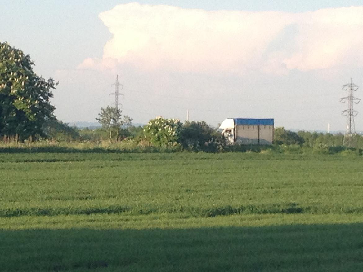 Irish Cob Bella Donna - Så ankommer prinsessen 
Wee........ billede 8