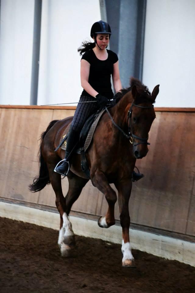 Anden særlig race Big Brother - Træning d. 29. maj 2013 :) Foto: Luna Palmgreen billede 19