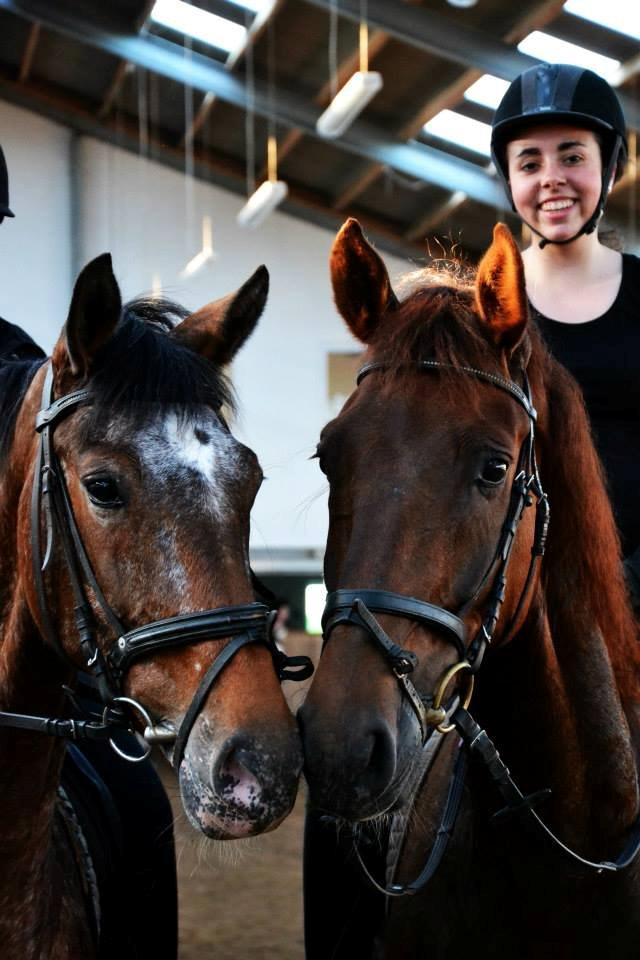 Anden særlig race Big Brother - Susan & Big <3 Foto: Luna Palmgreen billede 20