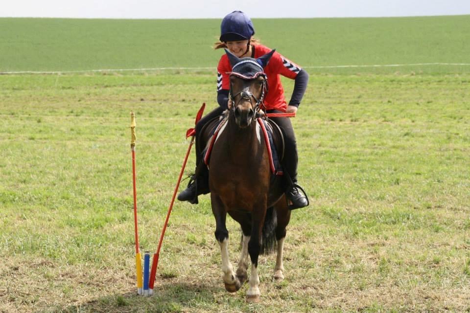 Pinto Foxy billede 10