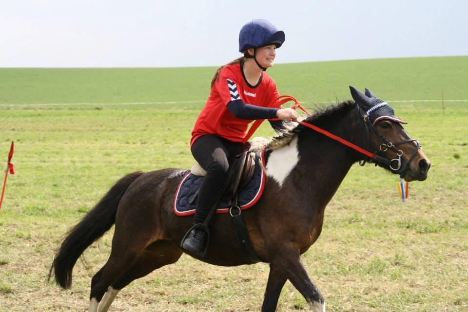 Pinto Foxy billede 11