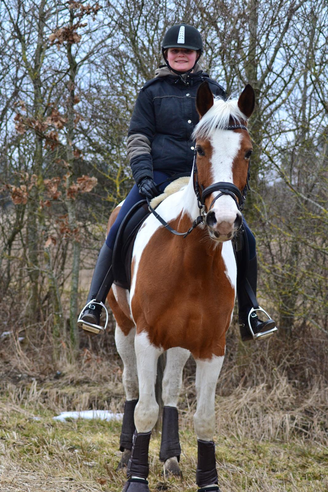 Pinto • Medina • billede 17