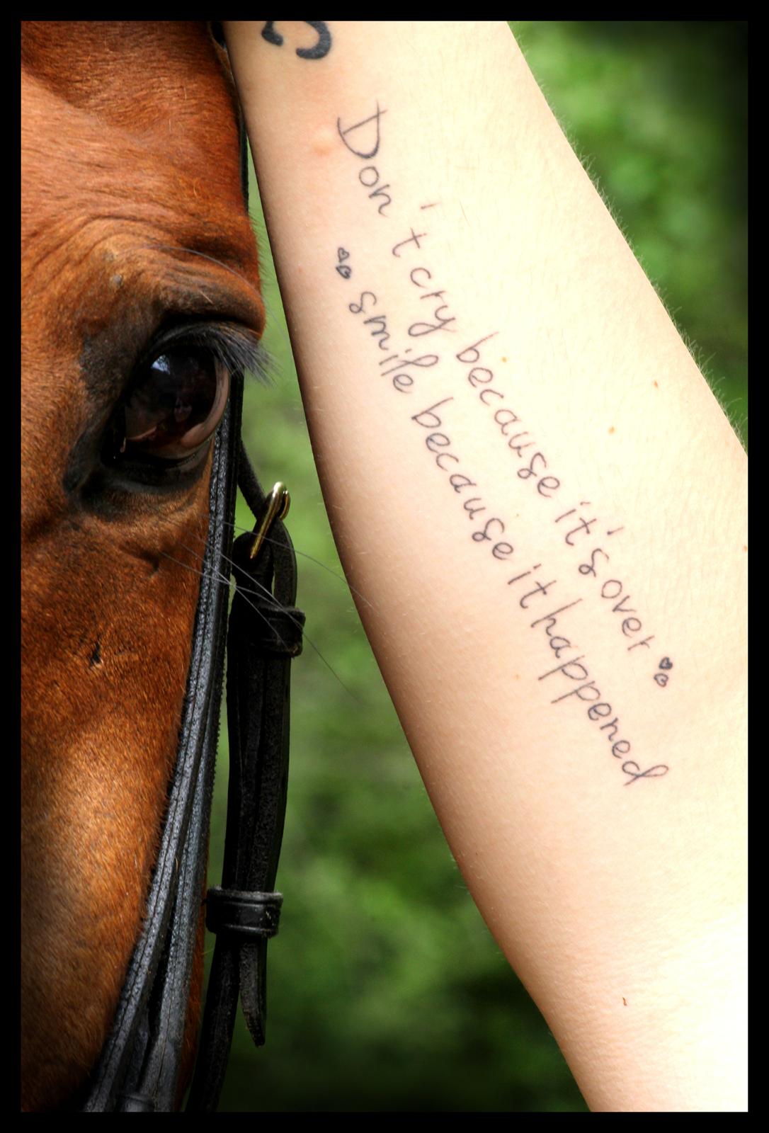Dansk Varmblod Bøgegårdens Lands-River (Lancelot) - <3 Foto: Maibritt U. billede 1