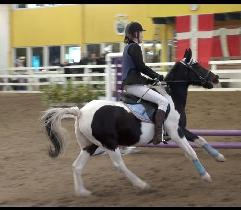 Anden særlig race Tulle (buk) - ganshe mang eller hvordan det stavet  billede 16