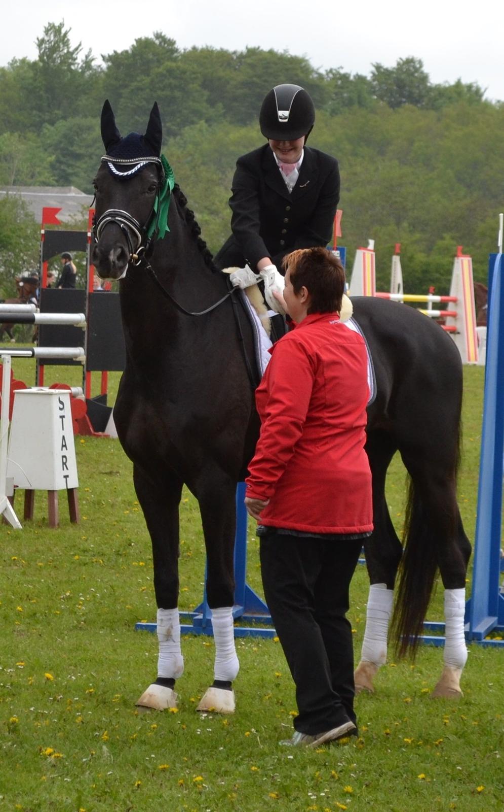Tysk Oldenburger Hoelgaard's Armani billede 3