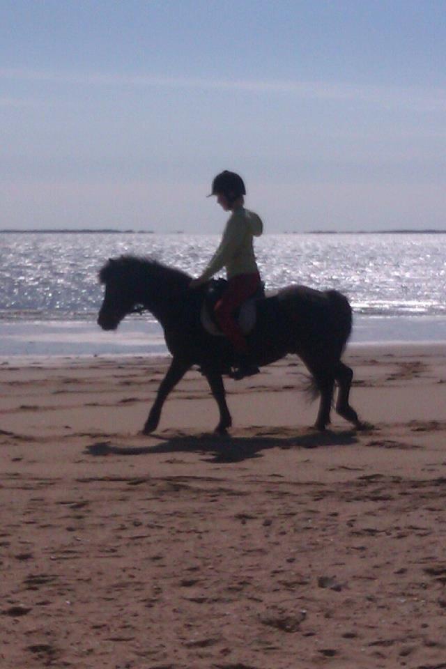 Anden særlig race Buster billede 6