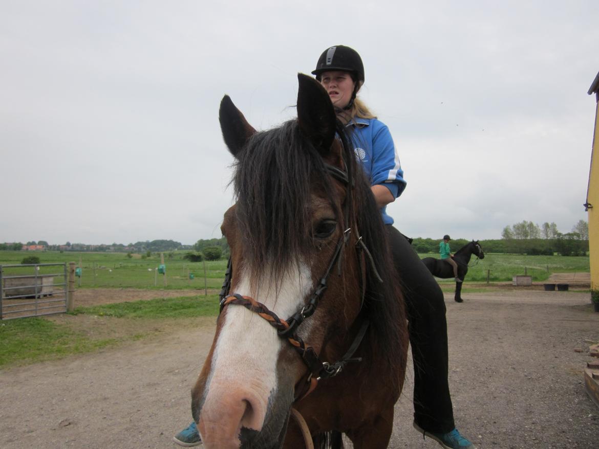 Anden særlig race Celeste (I miss you <3 ) billede 14