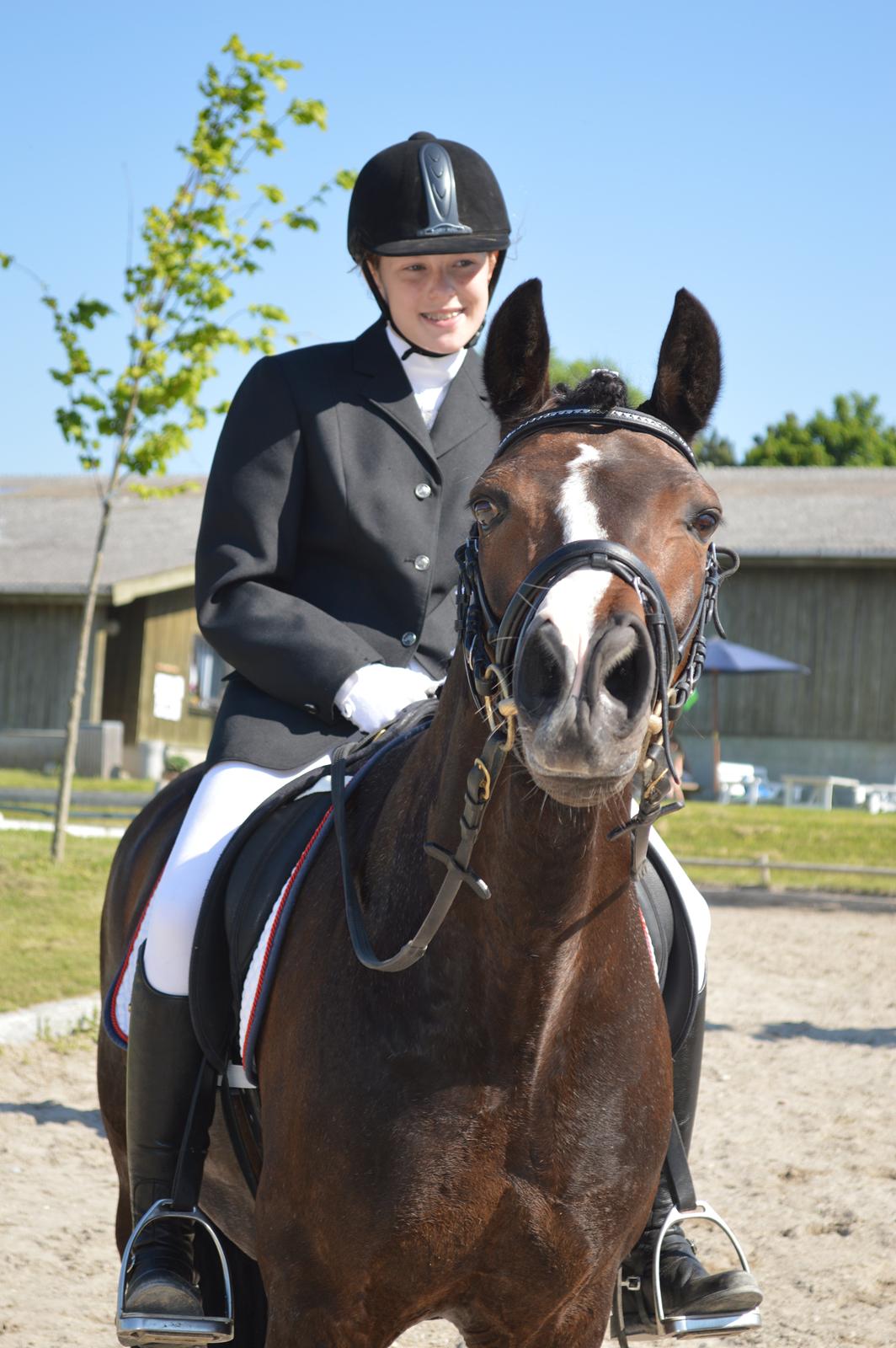 New Forest Chamsiin - du er så dejlig <3<3<3 billede 4