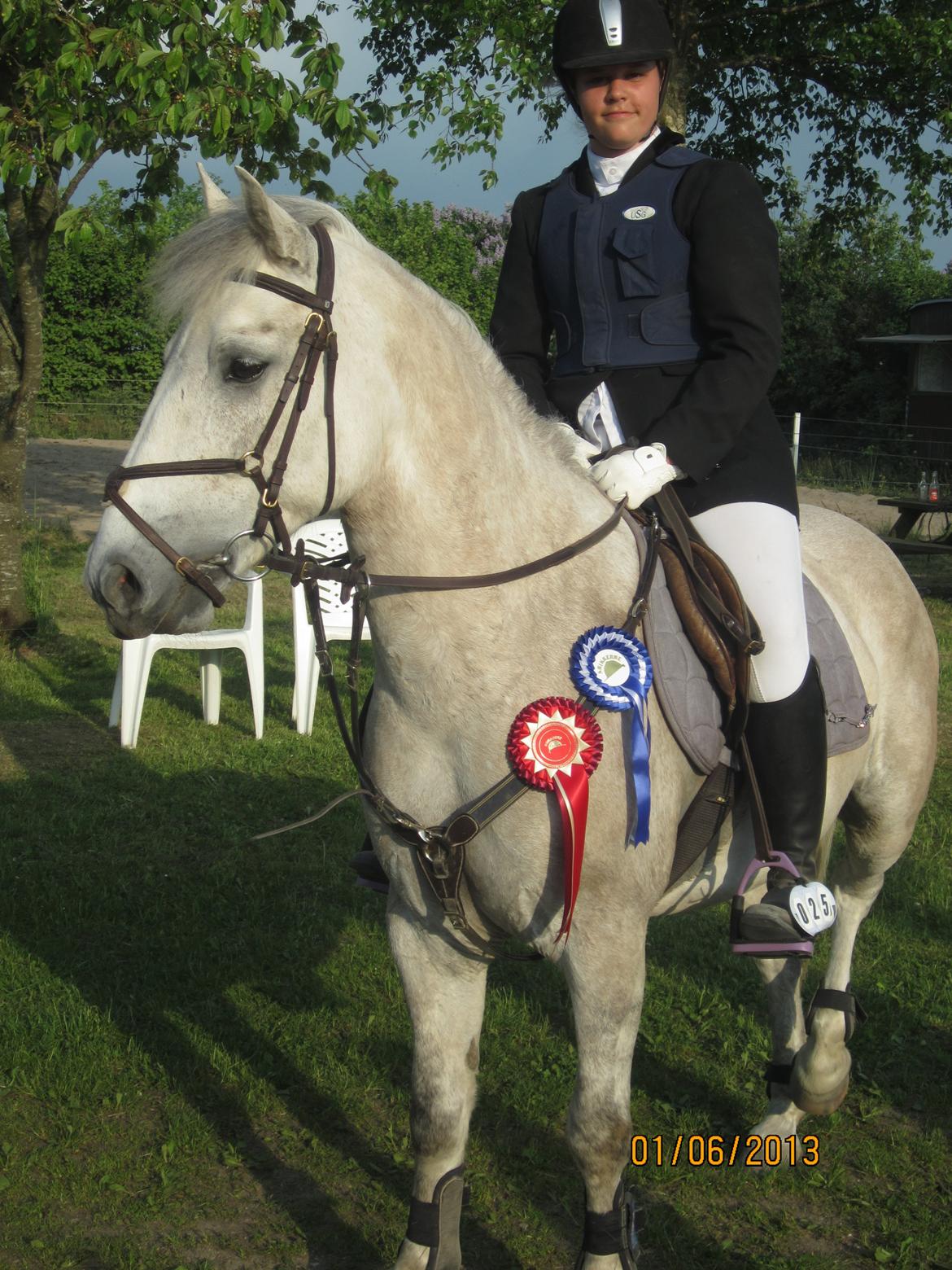 Anden særlig race silver (Min bedste ven) <3 - krikkerne d. 1 juni - LC, 1 plads - LB, 2, plads billede 10