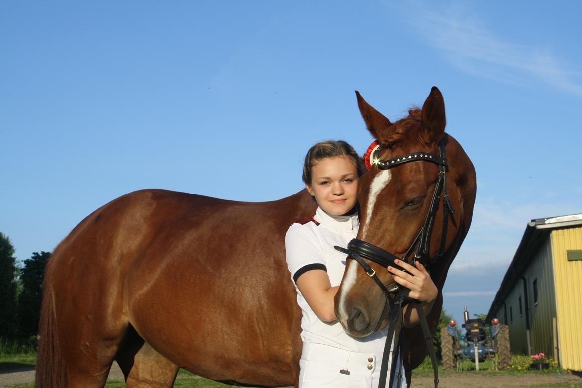 Dansk Varmblod Lindehøjgårds Celine billede 16
