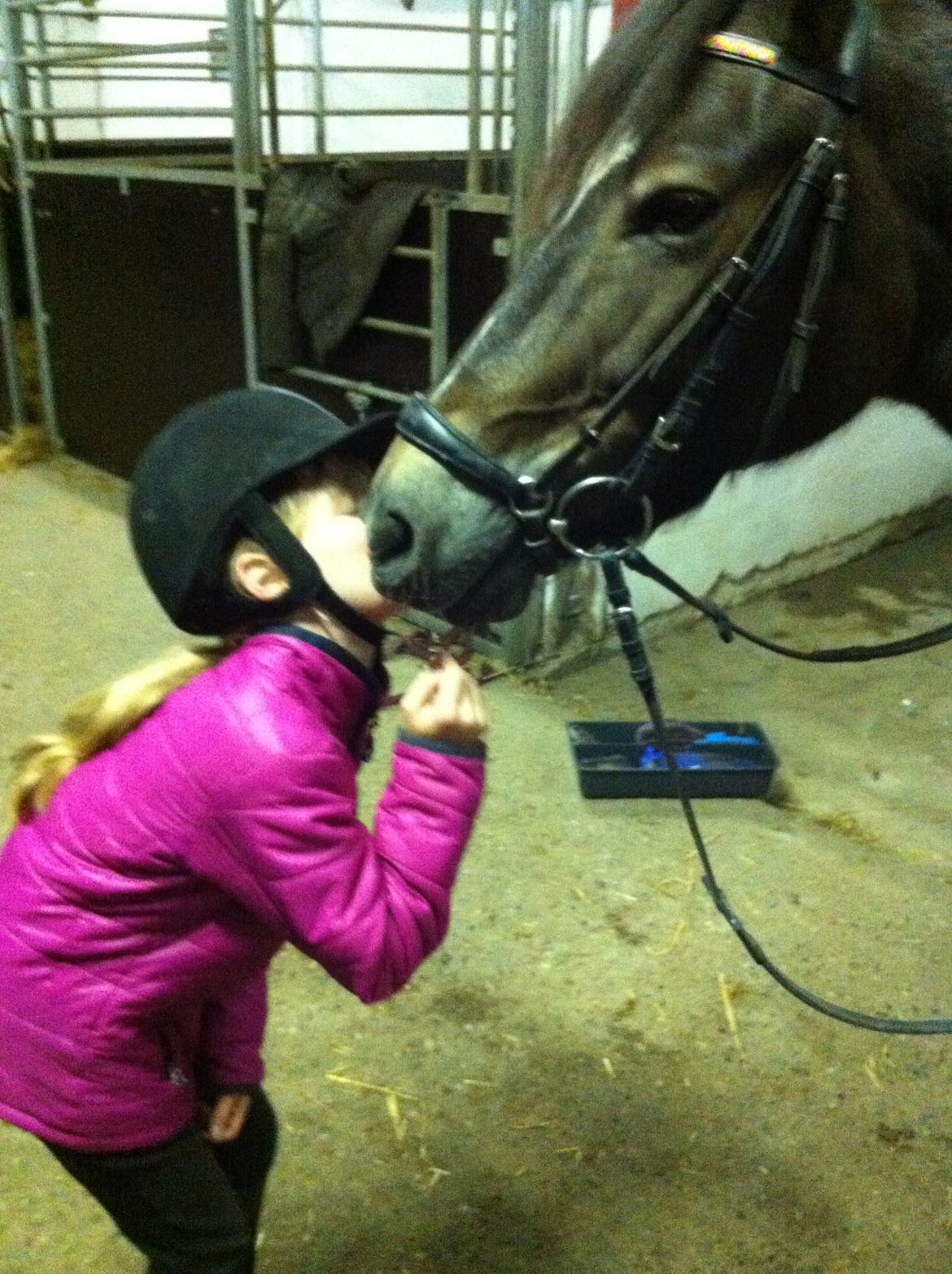 New Forest DONALD  "Pony" billede 10