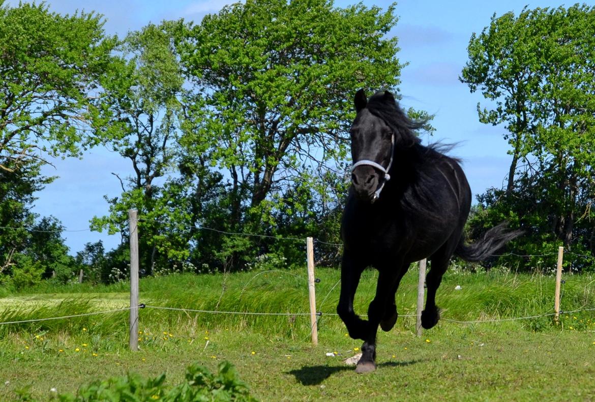 DSP Beauty - Personen du stoler på, stoler også på en anden.
Foto: Mig billede 17