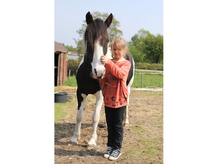 {{currentPhoto.altText}} billede {{currentPhoto.number}}