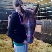 Anden særlig race Stettenborgs Chanel