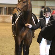 Anden særlig race Henriksøgaards Finaly May