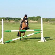 Anden særlig race Beauty