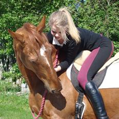 Dansk Varmblod Activ