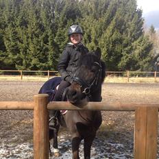 Anden særlig race Mestery Man