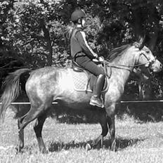 Anden særlig race Payback