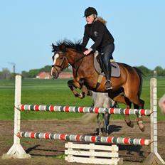 DSP Fejrupgaards Cookienelle