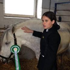 Anden særlig race Marius