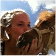 Anden særlig race Rosa -tidligere hest