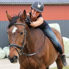 Holstener Orchidee 140