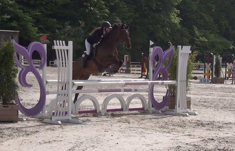 Anden særlig race Sabu - Riders Cup MB* 2013 billede 1