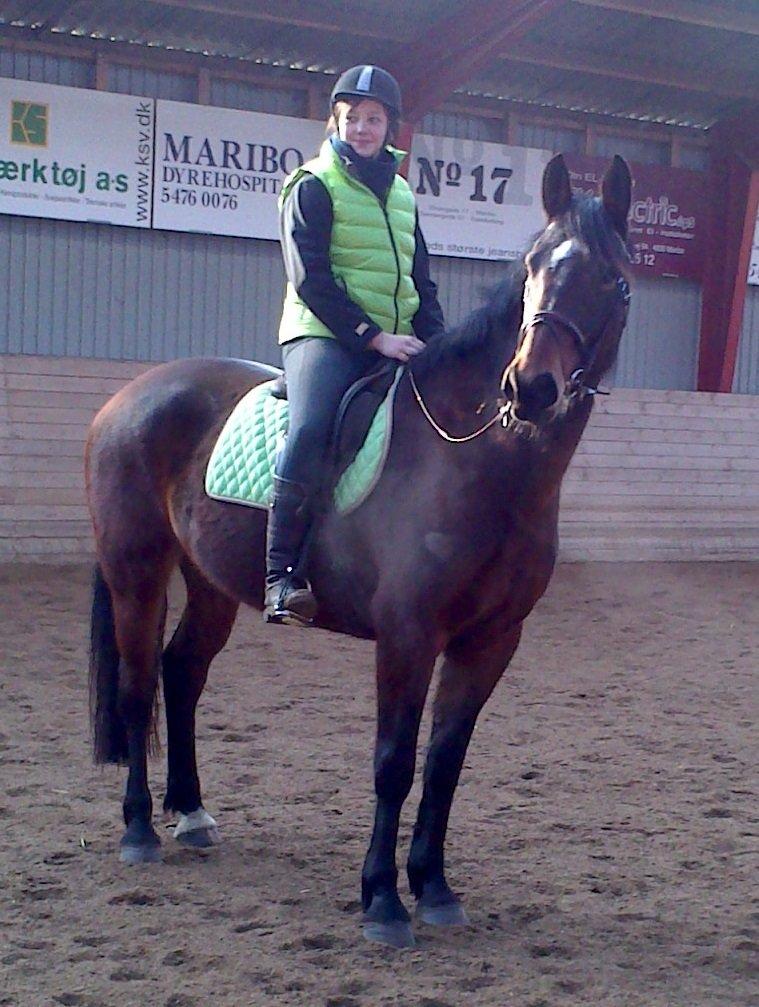 Anden særlig race Henriksøgaards Finaly May billede 2