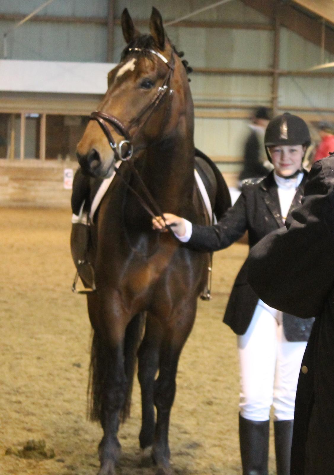 Anden særlig race Henriksøgaards Finaly May - Vores andet stævne, Sydhavscup billede 1