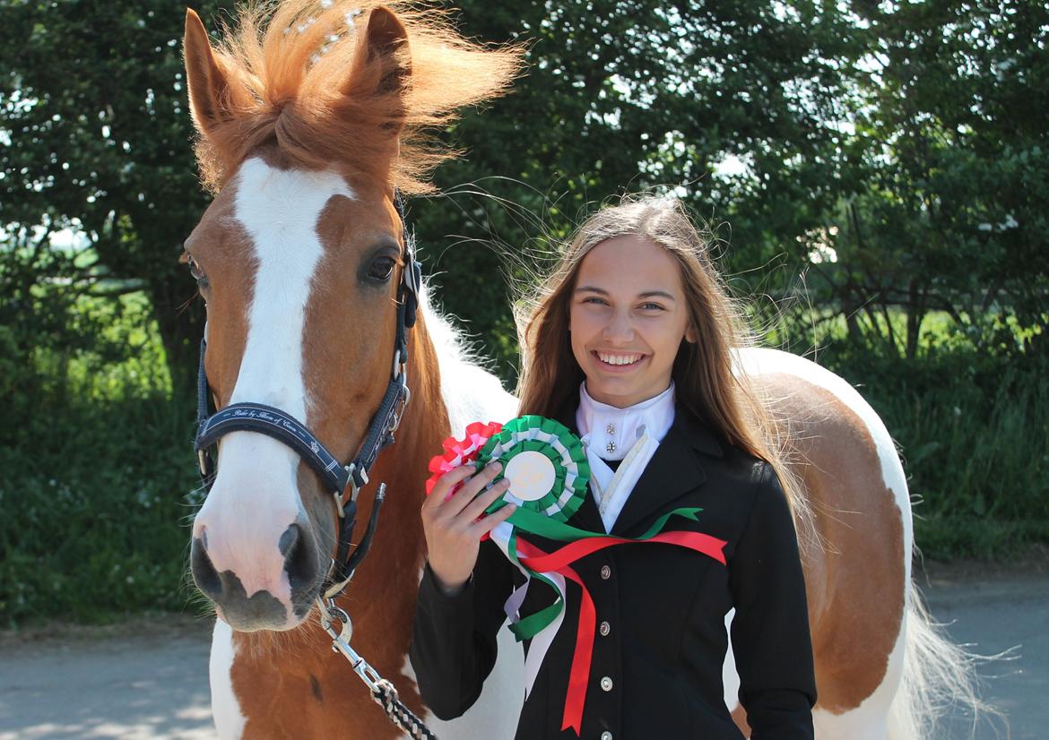 Pinto Lindholms Toniquie - 1. Juni 2013 - stævne i Hejlsminde. 1. og 3. plads billede 3