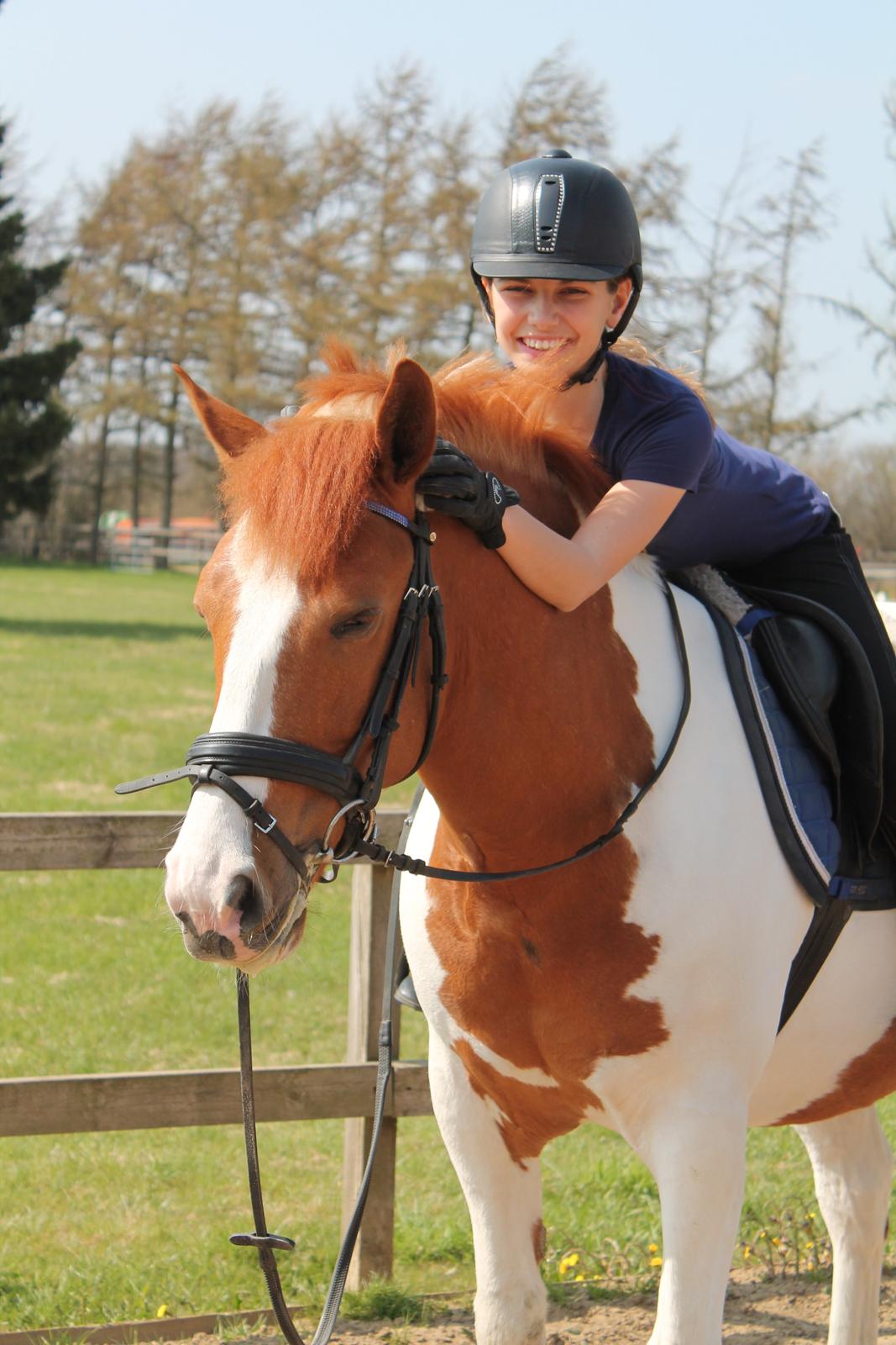 Pinto Lindholms Toniquie - 4. maj 2013  billede 6