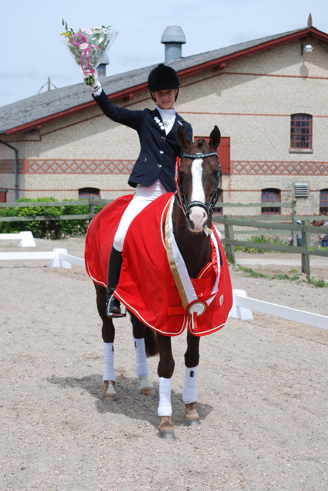 Hollandsk Sportspony Narco van de Beekerheide *B-pony!* - Min bedsteven!!! ♥  billede 3