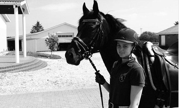 Tysk Sportspony Gematus B billede 2