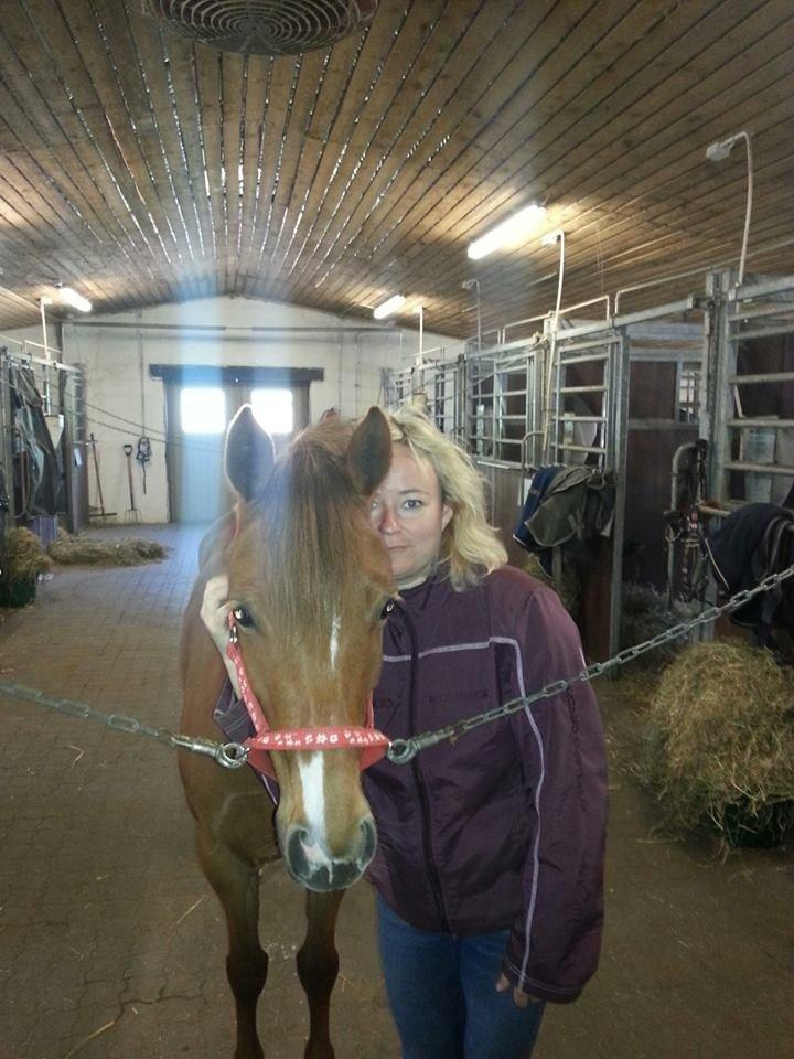 DSP Martini asti billede 6