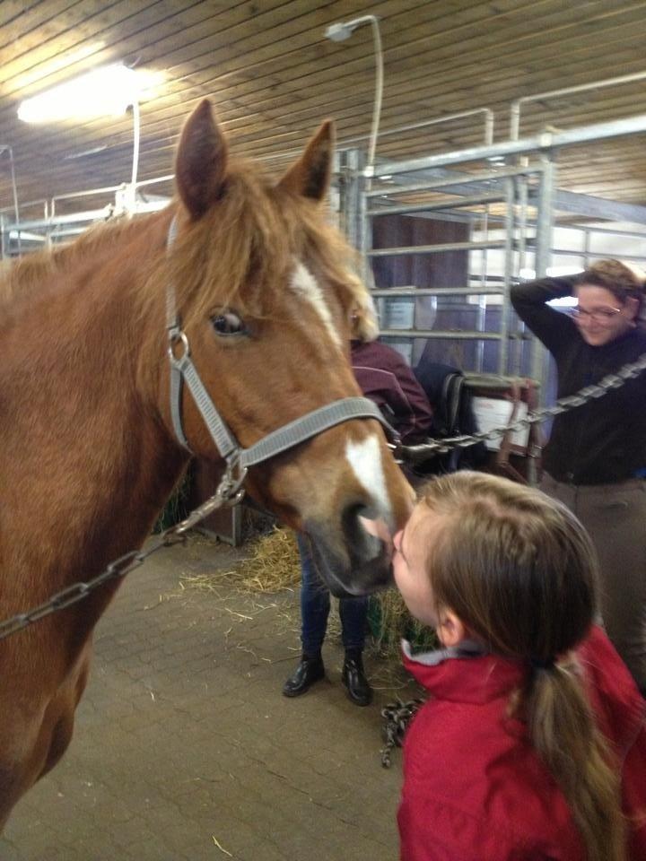 DSP Martini asti billede 8