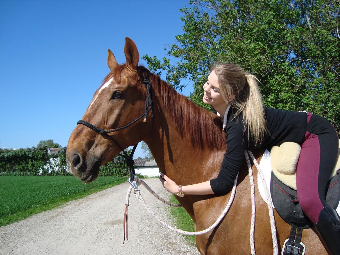 Dansk Varmblod Activ - Ingen dig - ingen mig <3 billede 7